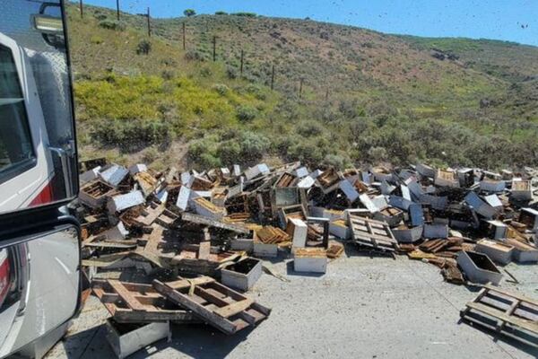 At least 2 people injured after a semi-truck hauling over 200 beehives turns over in Utah