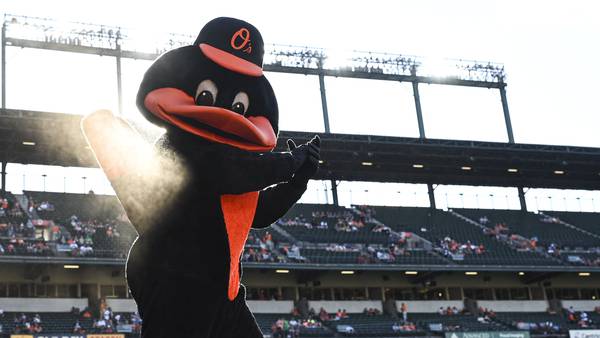 Orioles fan vies for MLB catch of the year with drink, phone, baby stroller in tow