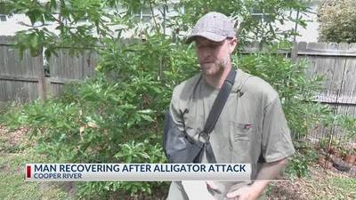 WATCH: Diver Recovers After Near-Deadly Gator Attack