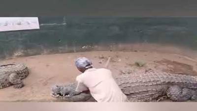 WATCH: Croc Handler ‘Nearly Loses Genitals’ In Attack 