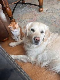 Check out all the adorable photos you sent us of your dogs on National Dog Day!