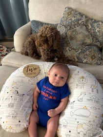 Check out all the adorable photos you sent us of your dogs on National Dog Day!