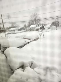 Check out all the snow photos you sent us on February 23rd, 2026. Want to see your photo featured? Upload it now inside our smartphone app.