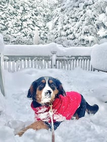 Check out all the snow photos you sent us on February 23rd, 2026. Want to see your photo featured? Upload it now inside our smartphone app.