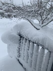 Check out all the snow photos you sent us on February 23rd, 2026. Want to see your photo featured? Upload it now inside our smartphone app.