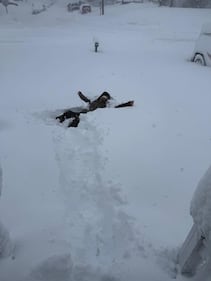 Check out all the snow photos you sent us on February 23rd, 2026. Want to see your photo featured? Upload it now inside our smartphone app.