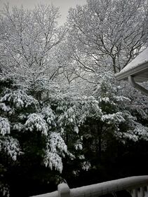 Check out all the photos of the snow you sent us on December 13th and 14th, 2025. Want to see your photo featured? Upload it now inside our phone app.