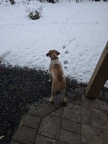 Check out all the photos of the snow you sent us on December 13th and 14th, 2025. Want to see your photo featured? Upload it now inside our phone app.