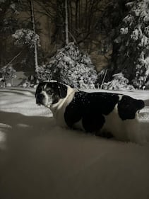 Check out all the snow photos you sent us on February 23rd, 2026. Want to see your photo featured? Upload it now inside our smartphone app.