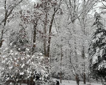 Check out all the photos of the snow you sent us on December 13th and 14th, 2025. Want to see your photo featured? Upload it now inside our phone app.