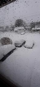 Check out all the snow photos you sent us on February 23rd, 2026. Want to see your photo featured? Upload it now inside our smartphone app.