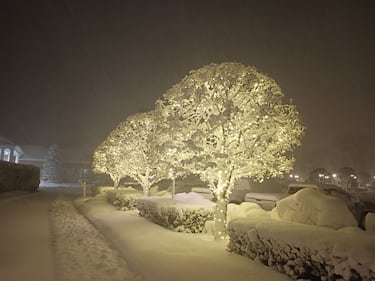 Check out all the snow photos you sent us on February 23rd, 2026. Want to see your photo featured? Upload it now inside our smartphone app.