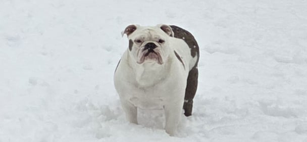 Check out all the photos of the snow you sent us on December 13th and 14th, 2025. Want to see your photo featured? Upload it now inside our phone app.