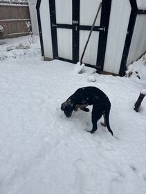 Check out all the photos of the snow you sent us on December 13th and 14th, 2025. Want to see your photo featured? Upload it now inside our phone app.