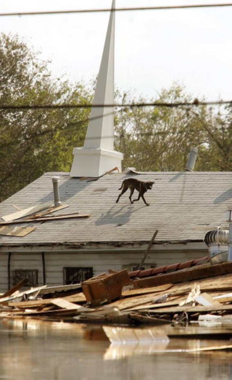 Hurricane Katrina