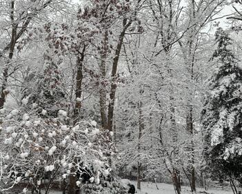 Check out all the photos of the snow you sent us on December 13th and 14th, 2025. Want to see your photo featured? Upload it now inside our phone app.