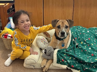 Check out all the adorable photos you sent us of your dogs on National Dog Day!