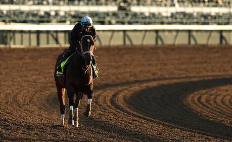 Horses at the Kentucky Derby