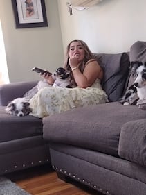 Check out all the adorable photos you sent us of your dogs on National Dog Day!