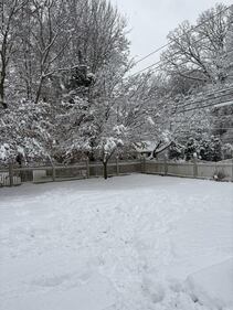 Check out all the photos of the snow you sent us on December 13th and 14th, 2025. Want to see your photo featured? Upload it now inside our phone app.