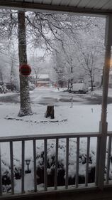 Check out all the photos of the snow you sent us on December 13th and 14th, 2025. Want to see your photo featured? Upload it now inside our phone app.