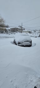 Check out all the snow photos you sent us on February 23rd, 2026. Want to see your photo featured? Upload it now inside our smartphone app.