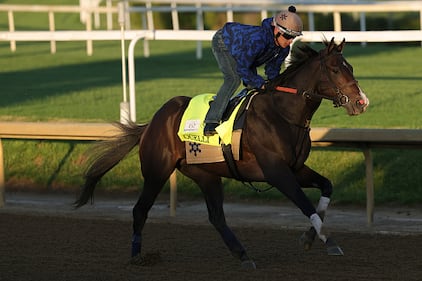 Horses at the Kentucky Derby