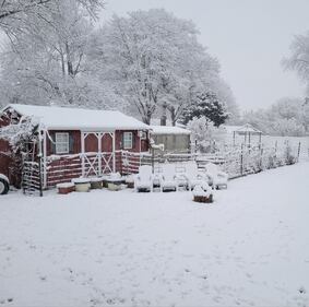 Check out all the photos of the snow you sent us on December 13th and 14th, 2025. Want to see your photo featured? Upload it now inside our phone app.