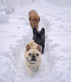 Check out all the snow photos you sent us on February 23rd, 2026. Want to see your photo featured? Upload it now inside our smartphone app.