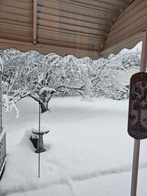 Check out all the photos of the snow you sent us on December 13th and 14th, 2025. Want to see your photo featured? Upload it now inside our phone app.