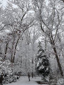 Check out all the photos of the snow you sent us on December 13th and 14th, 2025. Want to see your photo featured? Upload it now inside our phone app.