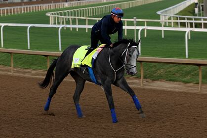 Horses at the Kentucky Derby