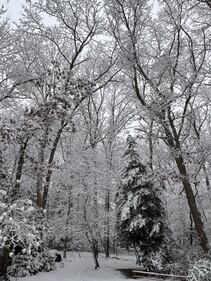 Check out all the photos of the snow you sent us on December 13th and 14th, 2025. Want to see your photo featured? Upload it now inside our phone app.