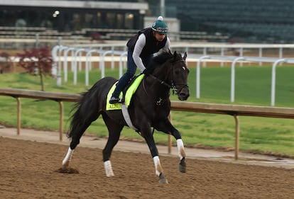 Horses at the Kentucky Derby