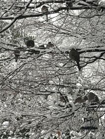 Check out all the photos of the snow you sent us on December 13th and 14th, 2025. Want to see your photo featured? Upload it now inside our phone app.