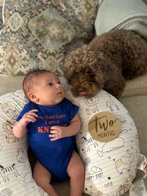 Check out all the adorable photos you sent us of your dogs on National Dog Day!