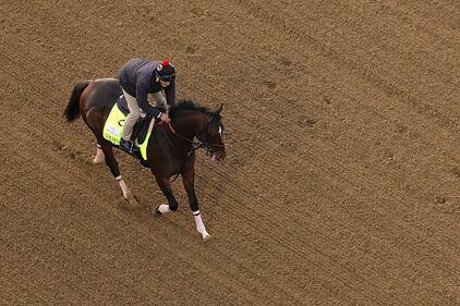 Horses at the Kentucky Derby
