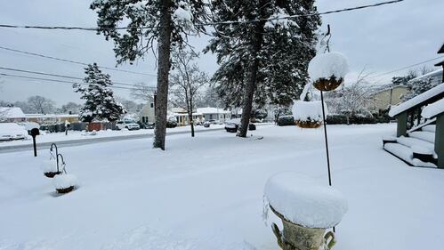 Check out all the photos of the snow you sent us on December 13th and 14th, 2025. Want to see your photo featured? Upload it now inside our phone app.