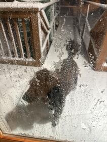 Check out all the snow photos you sent us on February 23rd, 2026. Want to see your photo featured? Upload it now inside our smartphone app.