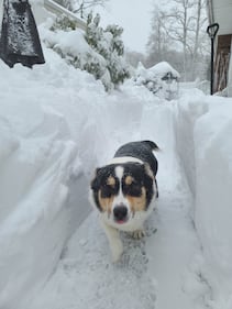 Check out all the snow photos you sent us on February 23rd, 2026. Want to see your photo featured? Upload it now inside our smartphone app.