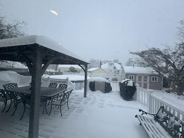 Check out all the snow photos you sent us on January 25th, 2026.
