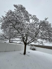 Check out all the photos of the snow you sent us on December 13th and 14th, 2025. Want to see your photo featured? Upload it now inside our phone app.