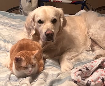 Check out all the adorable photos you sent us of your dogs on National Dog Day!