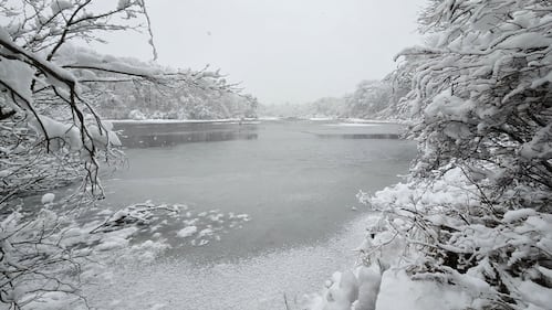 Check out all the photos of the snow you sent us on December 13th and 14th, 2025. Want to see your photo featured? Upload it now inside our phone app.