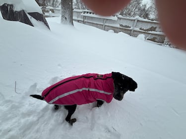 Check out all the snow photos you sent us on February 23rd, 2026. Want to see your photo featured? Upload it now inside our smartphone app.