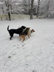 Check out all the photos of the snow you sent us on December 13th and 14th, 2025. Want to see your photo featured? Upload it now inside our phone app.