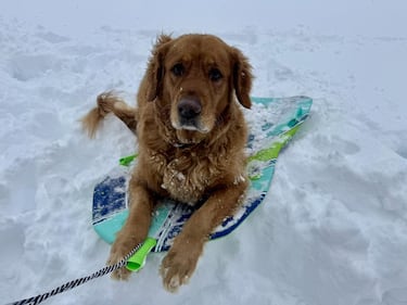 Check out all the snow photos you sent us on February 23rd, 2026. Want to see your photo featured? Upload it now inside our smartphone app.