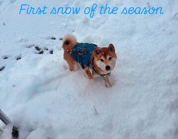 Check out all the photos of the snow you sent us on December 13th and 14th, 2025. Want to see your photo featured? Upload it now inside our phone app.