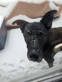 Check out all the snow photos you sent us on January 25th, 2026.